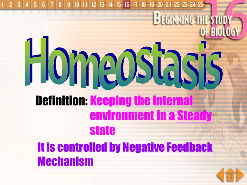 Homeostasis Definition: Keeping the internal environment in a Steady state It is controlled by